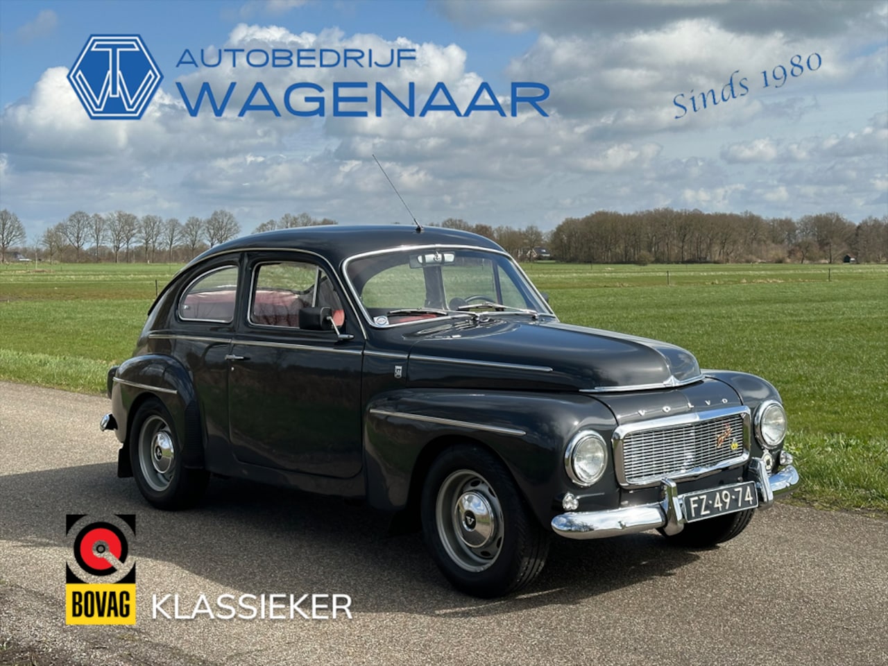 Volvo PV544 - PV 544 KATTERUG - AutoWereld.nl