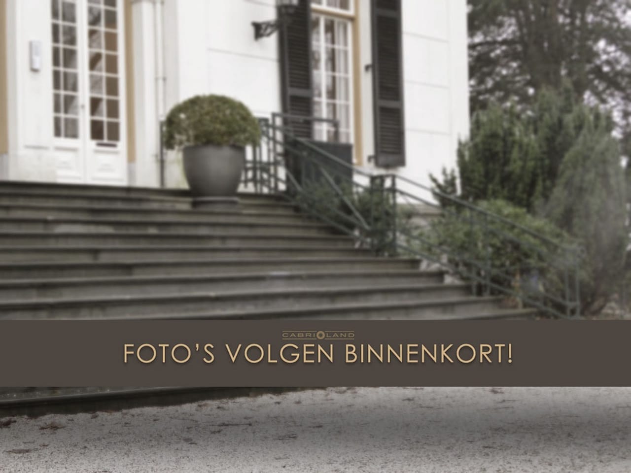 Audi RS4 - Avant 2.9 TFSI, Competition Bucket seats - AutoWereld.nl