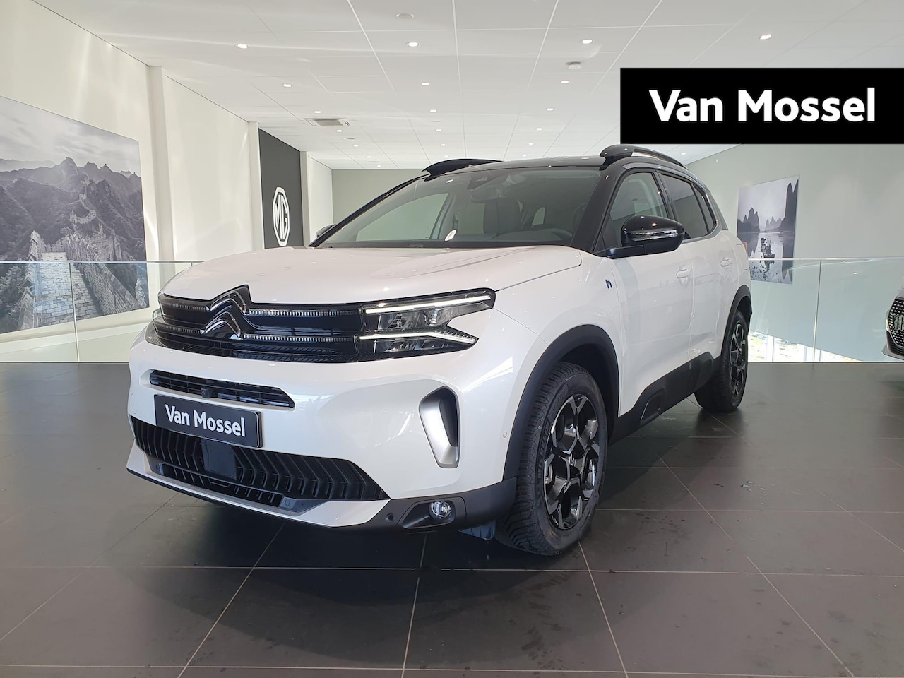 Citroën C5 Aircross - 1.6 Plug-in Hybrid 180 Business Plus - AutoWereld.nl