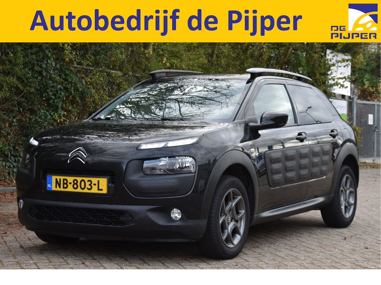 Citroën C4 Cactus - 1.2 PureTech Shine Airbump Blackline | NL-Auto | Nav | Cruise Control | PDC achter | LM-Ve - AutoWereld.nl