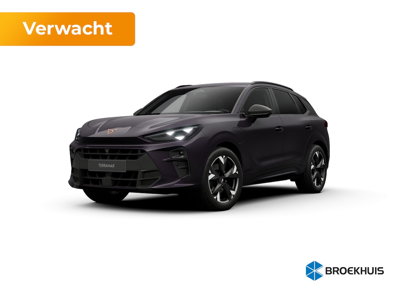 CUPRA Terramar - Business | 360 graden camera | Achteruitrijcamera | Draadloze Apple CarPlay™, Android Auto - AutoWereld.nl