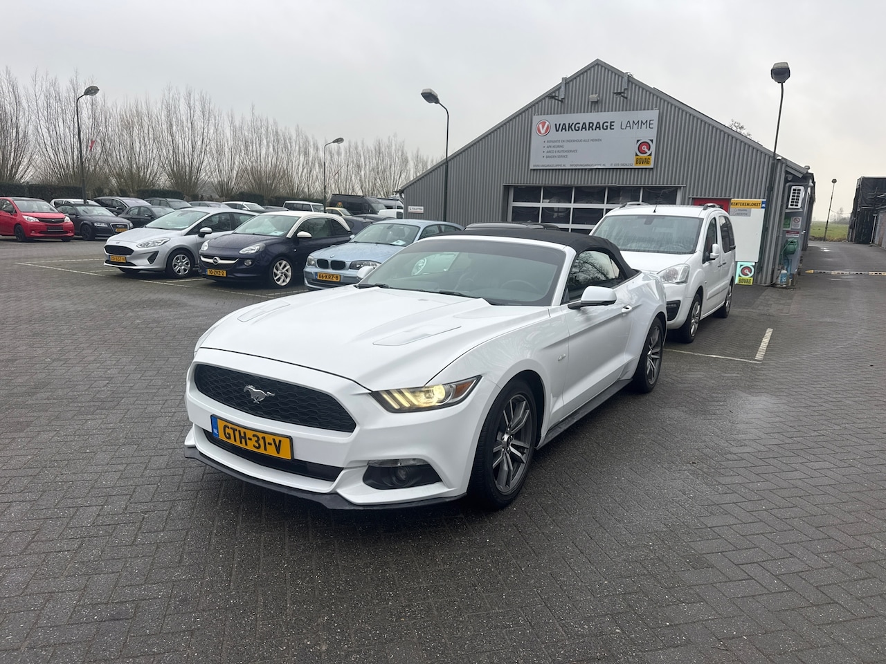 Ford Mustang Convertible - 2.3 EcoBoost 317 pk 2e paasdag open 12 tot 16 uur - AutoWereld.nl