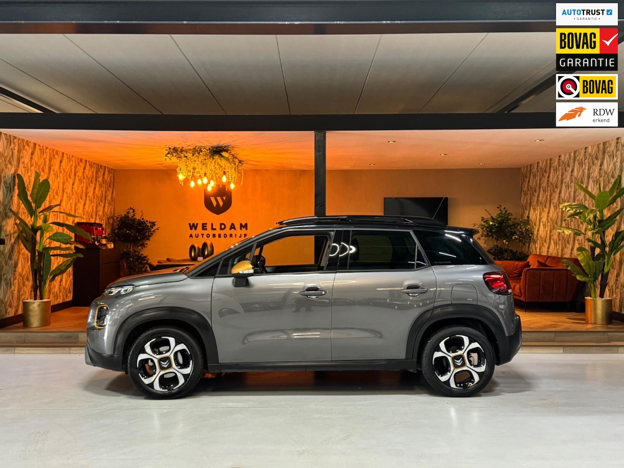 Citroën C3 Aircross - 1.2 PureTech Rip Curl Garantie Pano CarPlay 360 Camera PDC Cruise Lane Clima Navi Dab Rijk - AutoWereld.nl