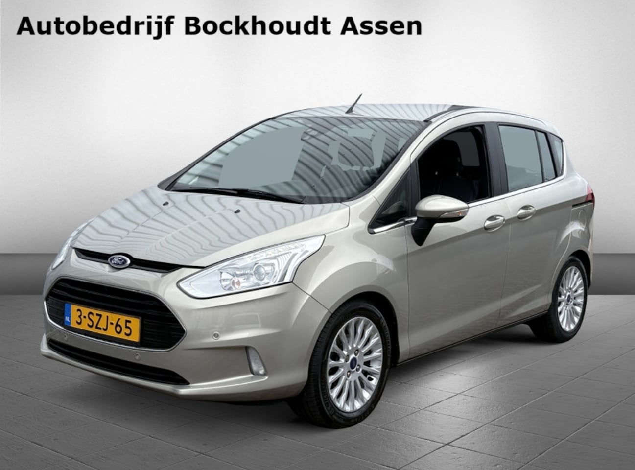 Ford B-Max - 1.0 EcoBoost 125PK Titanium | Voorruit verw. | Camera | Trekhaak - AutoWereld.nl