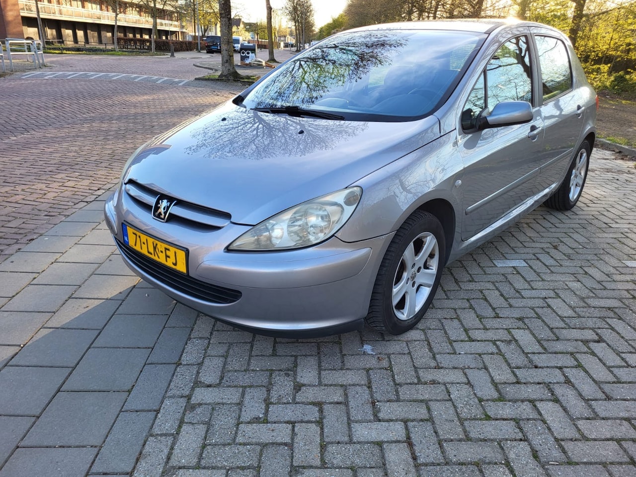 Peugeot 307 - 1.6-16V XSI 1.6-16V XSI - AutoWereld.nl