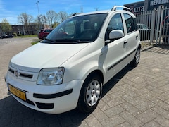 Fiat Panda - 1.2 Edizione Cool
