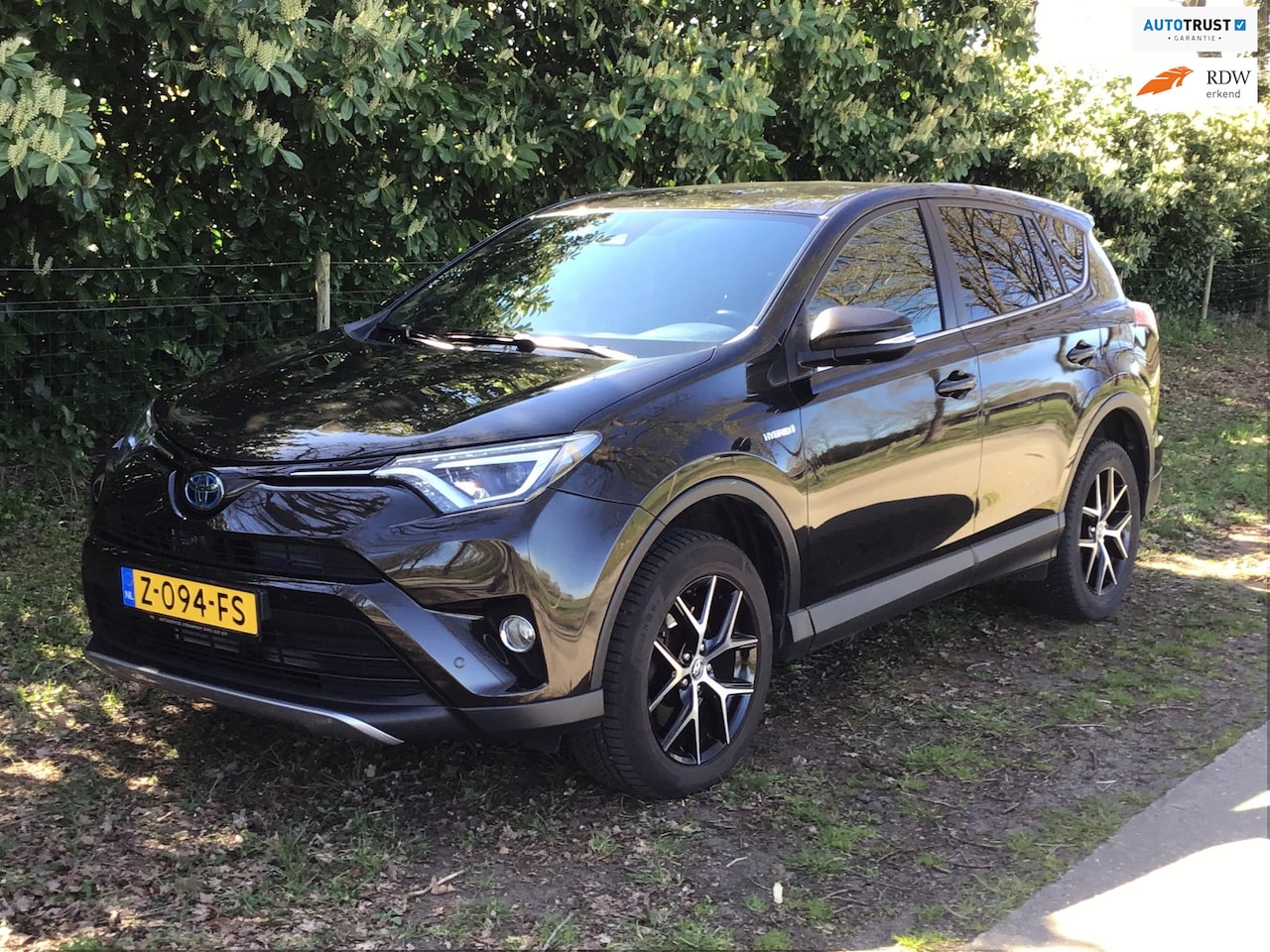 Toyota RAV4 - 2.5 Hybrid Executive automaat, 360-camera, in topstaat - AutoWereld.nl