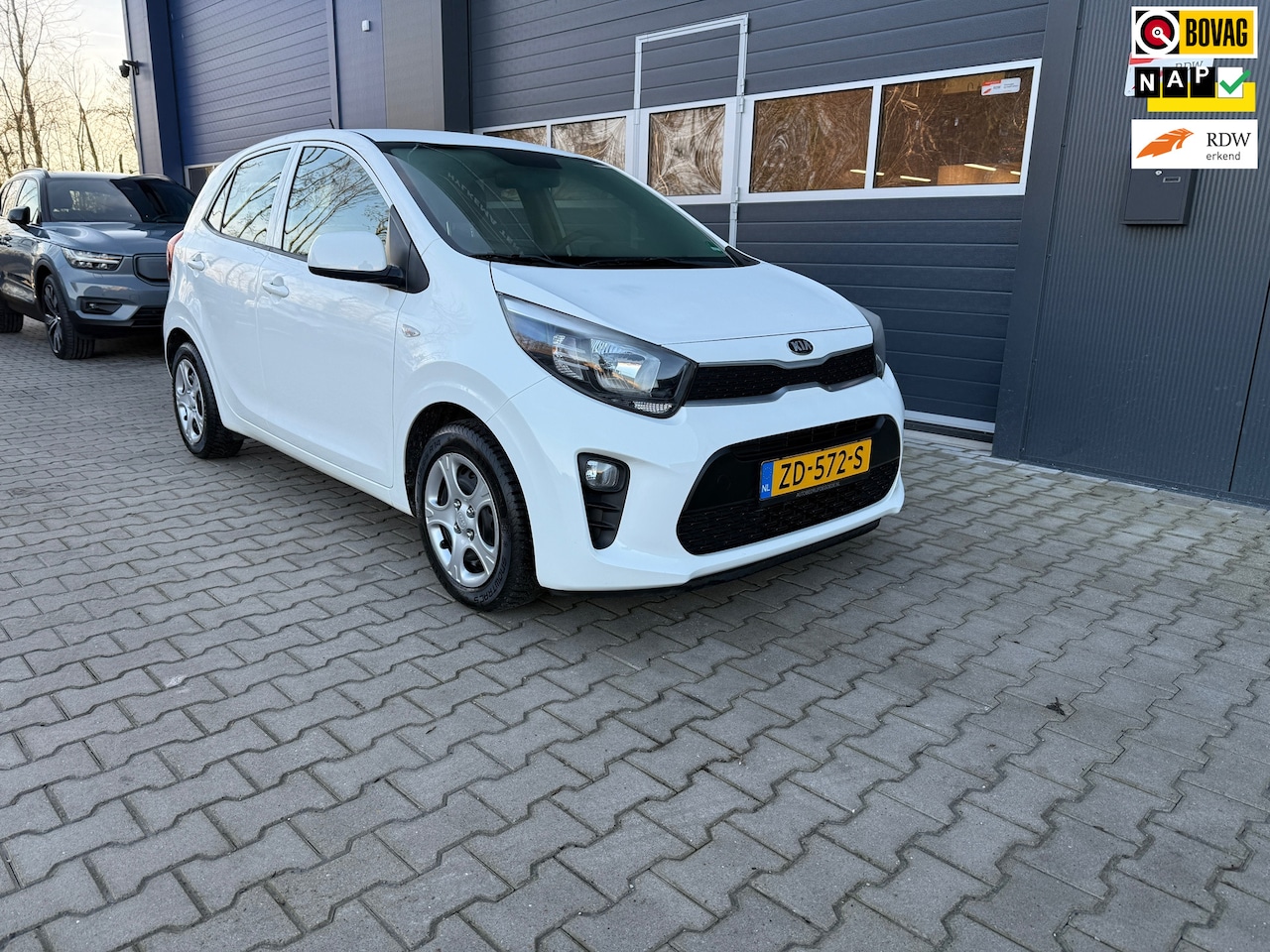 Kia Picanto - EconomyPlusLine APK 3-5-2027! - AutoWereld.nl
