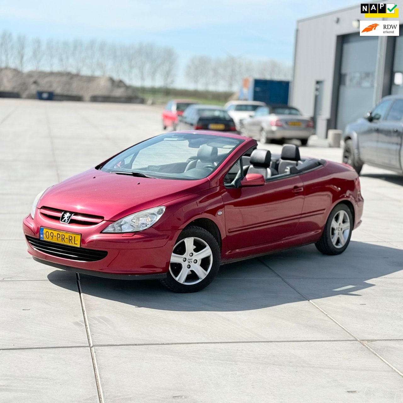Peugeot 307 CC - 2.0-16V cabrio LEER Stoelverwarming pdc - AutoWereld.nl