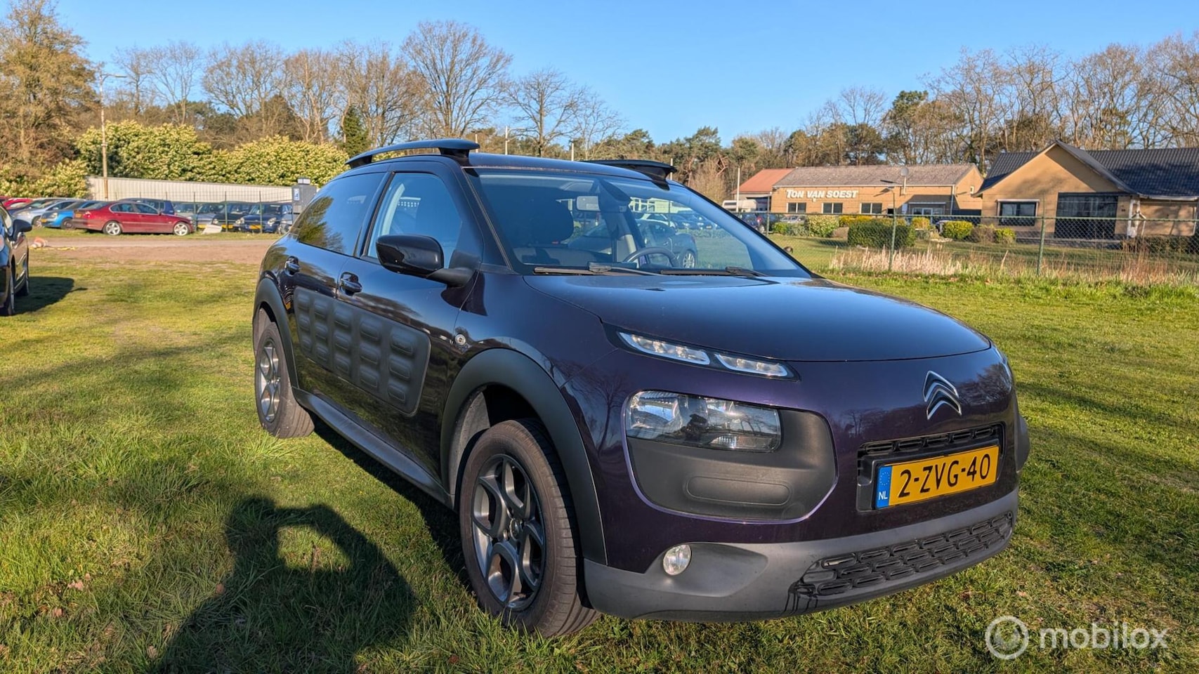 Citroën C4 Cactus - 1.2 PureTech Shine 1.2 PureTech Shine - AutoWereld.nl