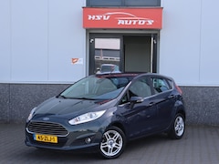 Ford Fiesta - 1.0 EcoBoost Titanium airco LM 4-deurs org NL