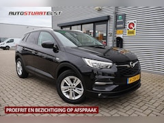 Opel Grandland X - 1.2 Business Executive 1e Eigenaar | Dealer Onderh | NL-Auto | BTW | Winterpack | Climate