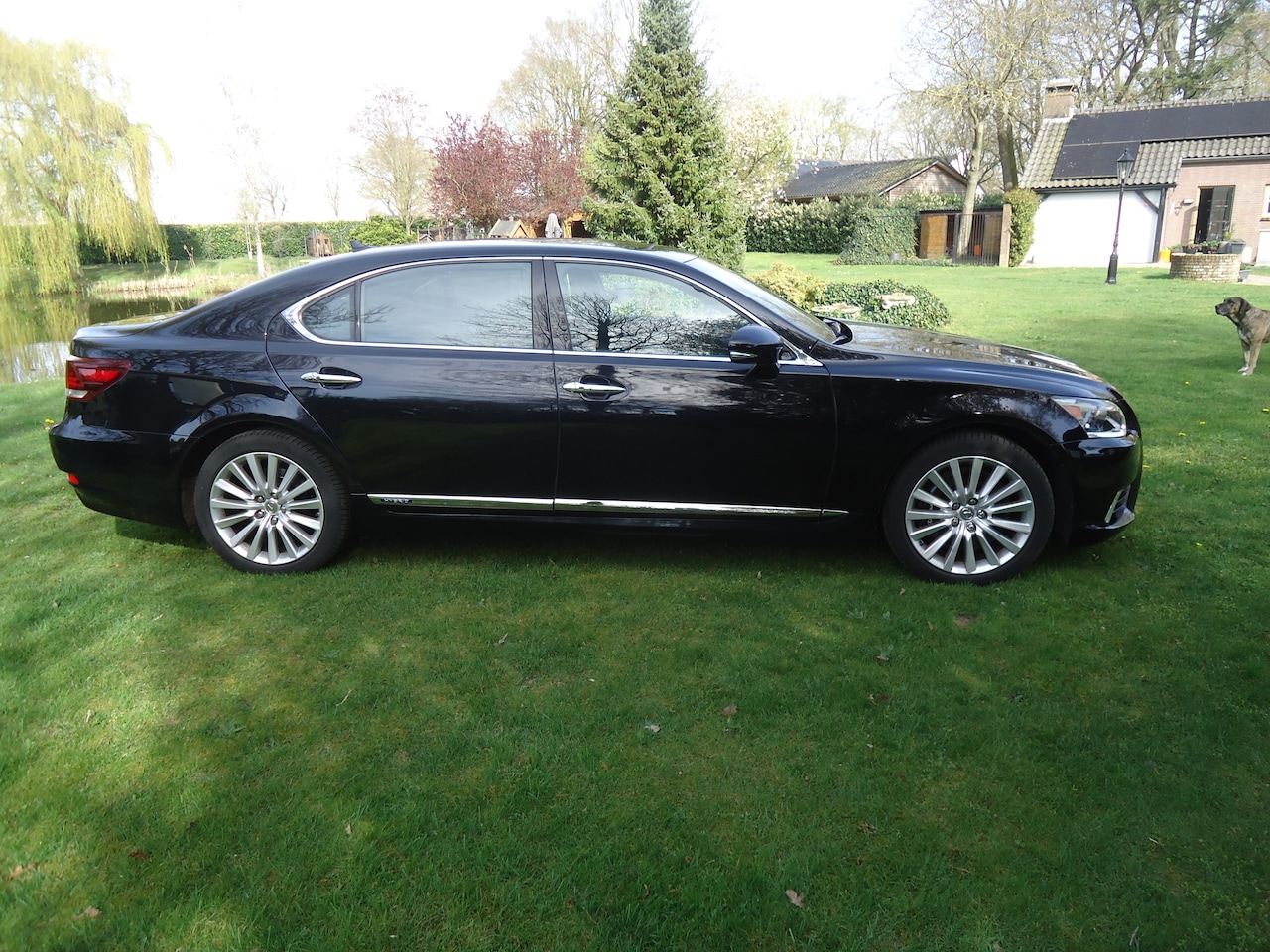 Lexus LS - 600h L. President 4p. unieke nederlandse auto