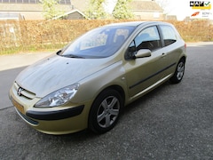 Peugeot 307 - 2.0-16V XSI airco cv 1eig leer, lm apk 4-2027