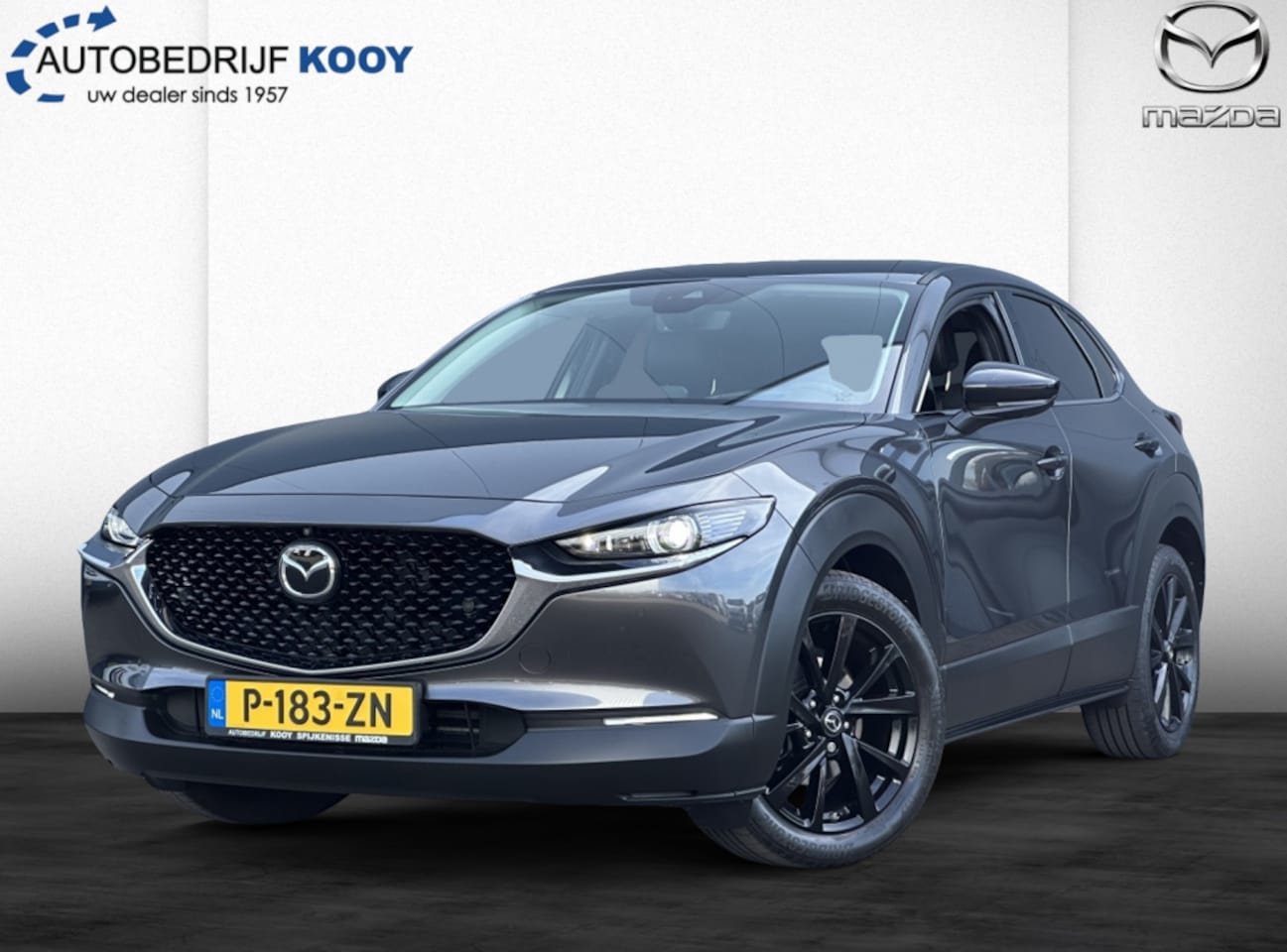 Mazda CX-30 - 2.0 eSkyActiv-X Luxury 360 camera / Afn. trekhaak / Carplay - AutoWereld.nl