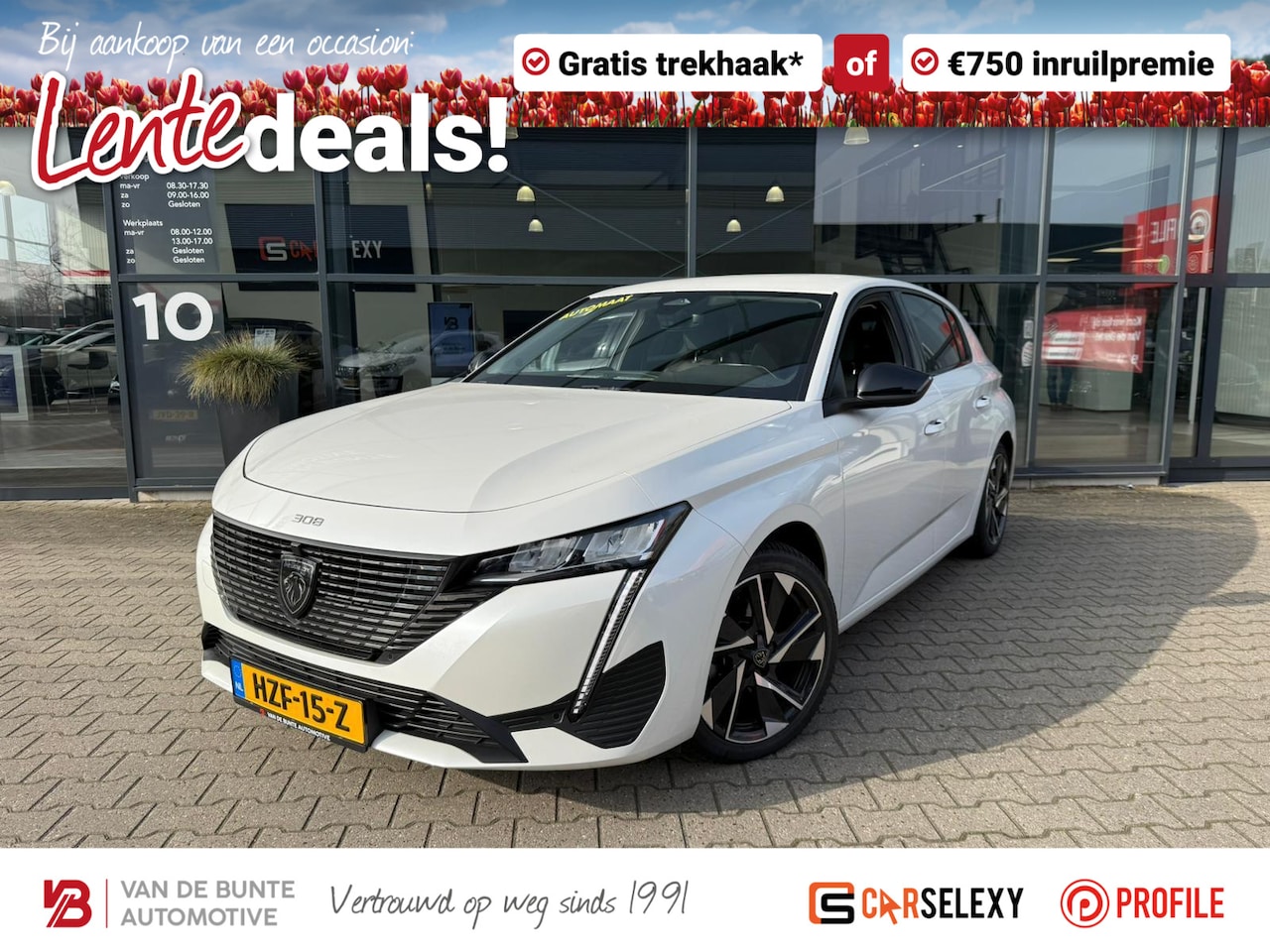 Peugeot 308 - 1.2 Allure Pack Business *Trekhaak* - AutoWereld.nl