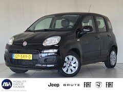 Fiat Panda - 1.2 Edizione Cool | Airco | 5-Deurs | Hoge Instap