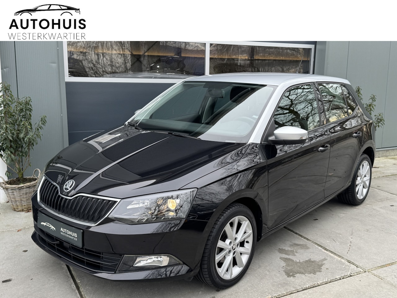 Skoda Fabia - 1.2 TSI 90pk Ambition PDC Airco LMV DAB - AutoWereld.nl