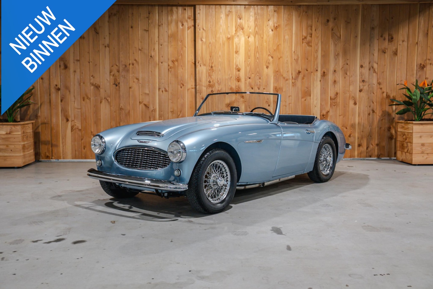 Austin Healey - 3000 | Body Off Restauration | - AutoWereld.nl