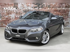 BMW 2-serie Cabrio - 228i High Executive 18 Inch / Navigatie / Trekhaak / Leder / Xenon / Elektr. inklapbare sp