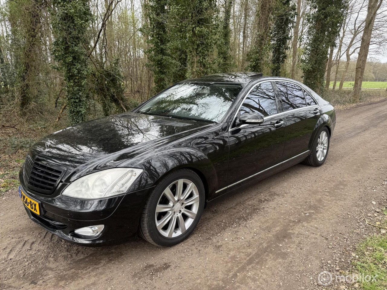 Mercedes-Benz S-klasse - 420 CDI Lang Prestige Plus export - AutoWereld.nl