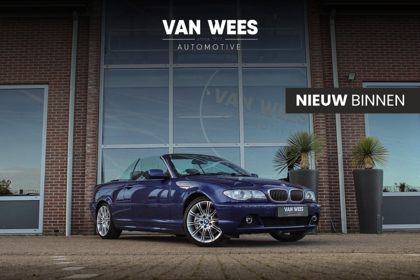 BMW 3-serie Cabrio - 330Ci Executive | Individual | Facelift | M-sportstuur | Memory | Climate control | Xenon - AutoWereld.nl