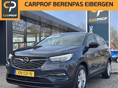 Opel Grandland X - 1.2 Turbo Business Edition '' PDC - Infotainmentsystem - CC- Aut