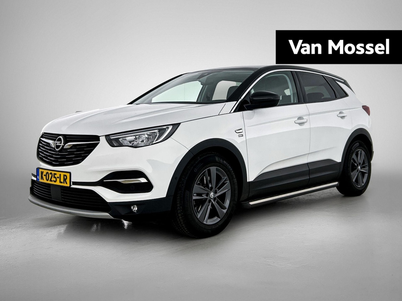 Opel Grandland X - 1.2 Turbo Edition 2020 | Panodak | LMV | Camera | Apple Carplay/Android Auto | Cruise - AutoWereld.nl
