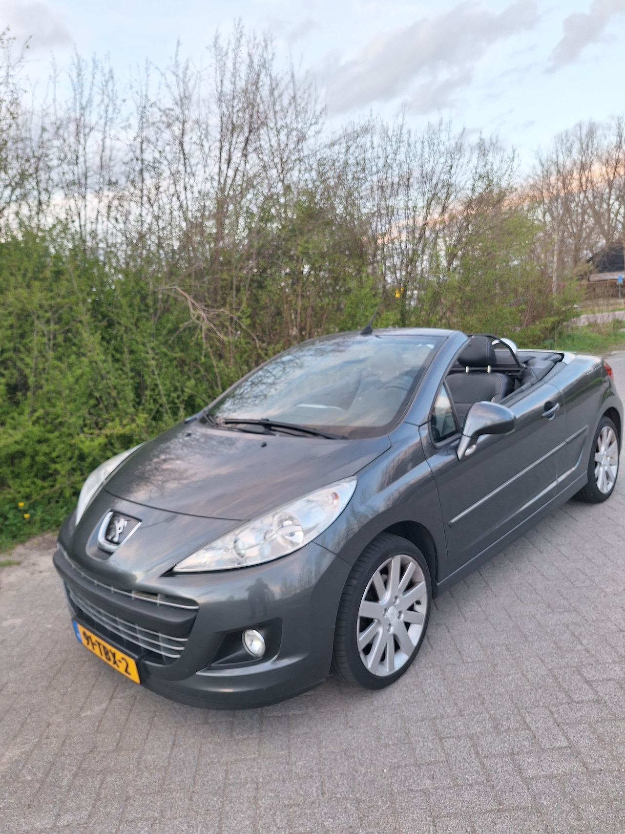 Peugeot 207 CC - 1.6 VTi Griffe - AutoWereld.nl