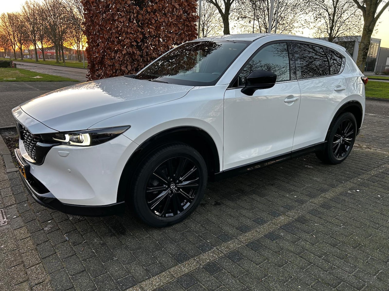 Mazda CX-5 - 2.0 SkyActiv-G 165 Sportive - AutoWereld.nl