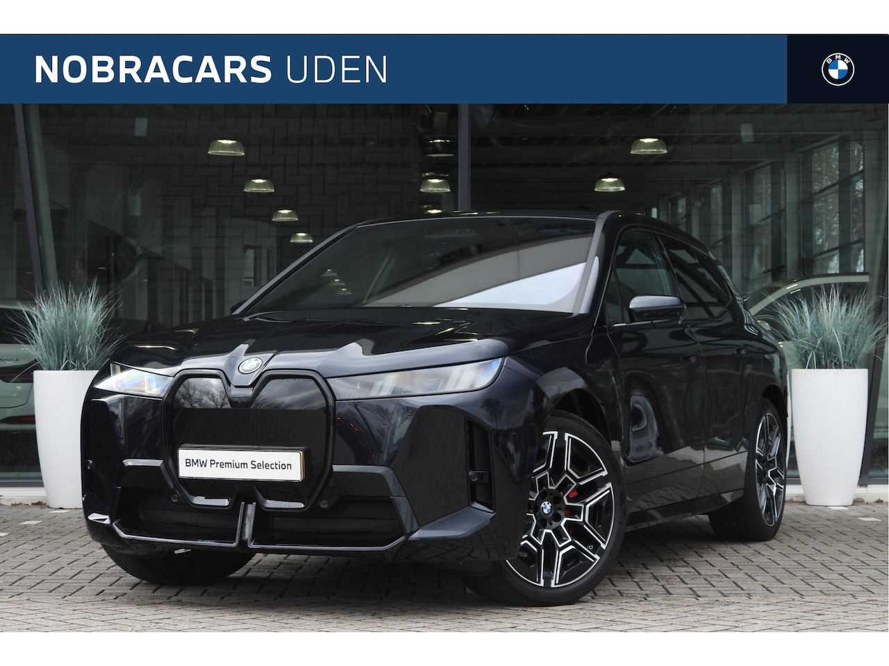 BMW iX - xDrive60 M Sport / Panoramadak Sky Lounge / Parking Assistant Professional / Adaptieve LED - AutoWereld.nl