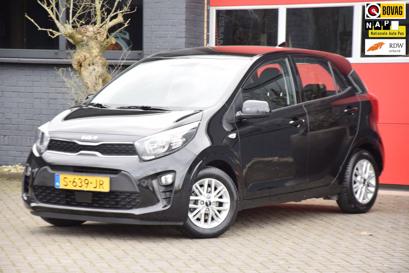 Kia Picanto - 1.0 DPi DynamicLine 2023 carplay navi Camera - AutoWereld.nl