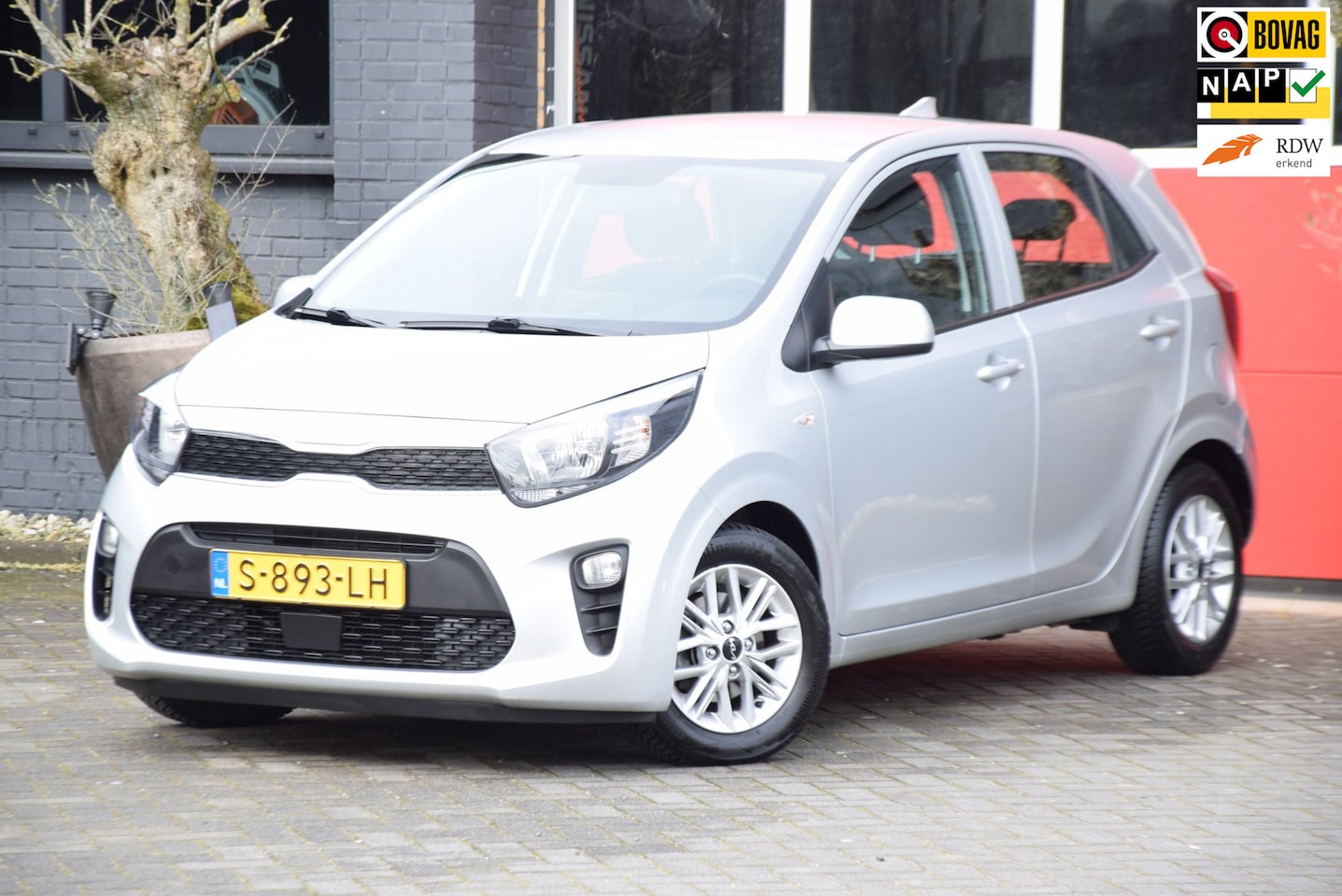 Kia Picanto - 1.0 DPi DynamicLine 2023 carplay navi Camera - AutoWereld.nl