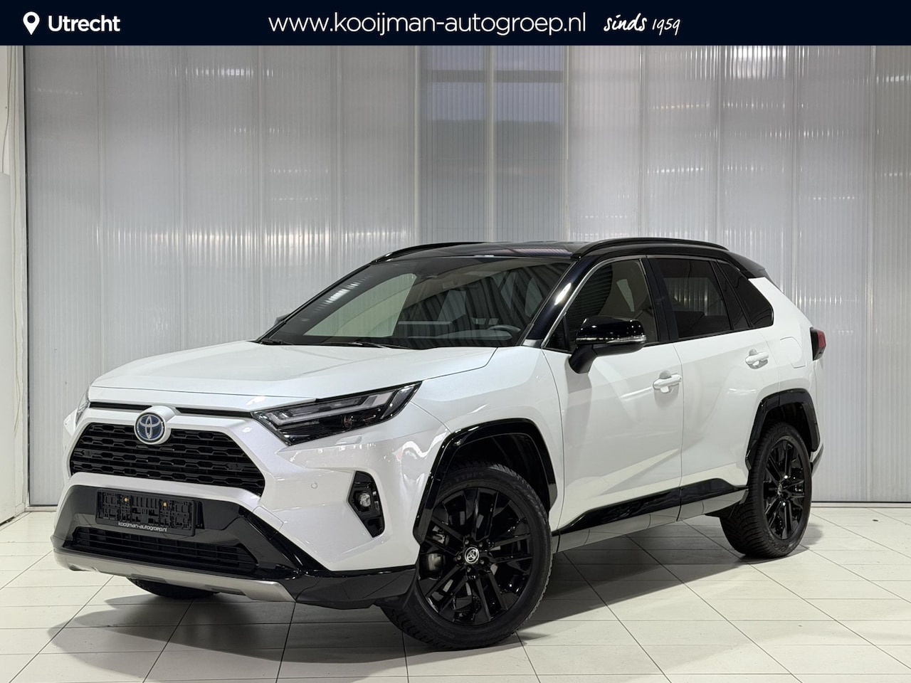 Toyota RAV4 - Bi-tone - AutoWereld.nl