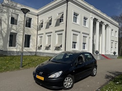 Peugeot 307 - 1.6-16V XS 5 DEURS, SINDS '07 1 EIG