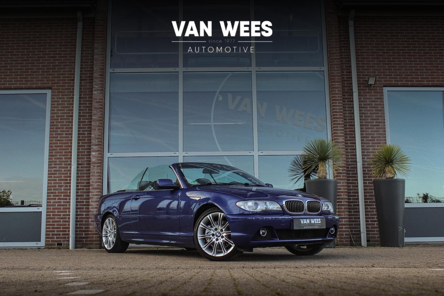 BMW 3-serie Cabrio - 330Ci Executive | Individual | Facelift | M-sportstuur | Memory | Climate control | Xenon - AutoWereld.nl