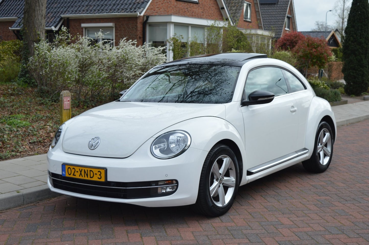 Volkswagen Beetle - 1.4 TSI Sport Org NL/NAP/1ste eigenaar/panoramadak - AutoWereld.nl