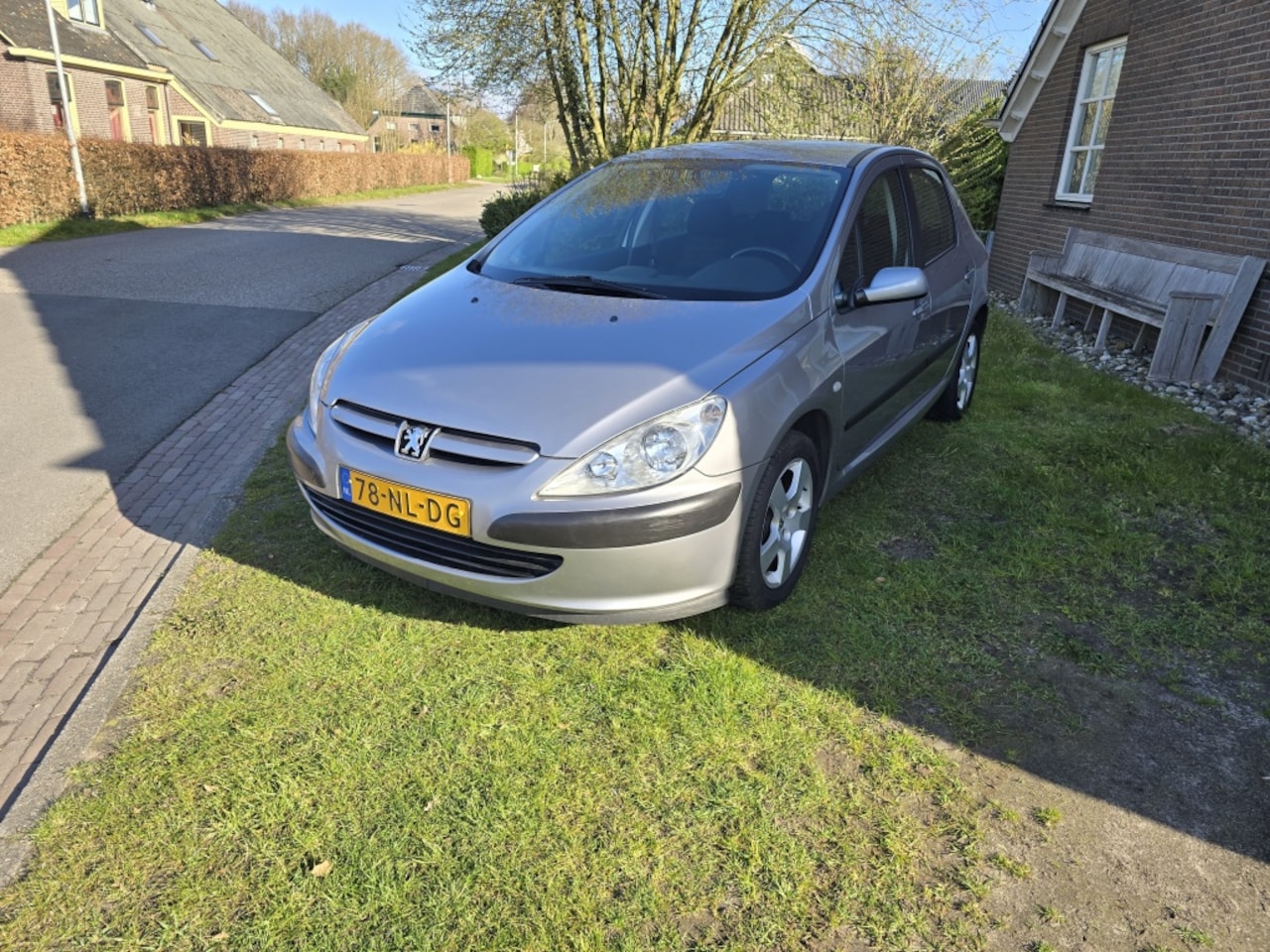 Peugeot 307 - 1.6-16V XS Pack 1.6-16V XS Pack - AutoWereld.nl