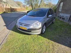 Peugeot 307 - 1.6-16V XS Pack