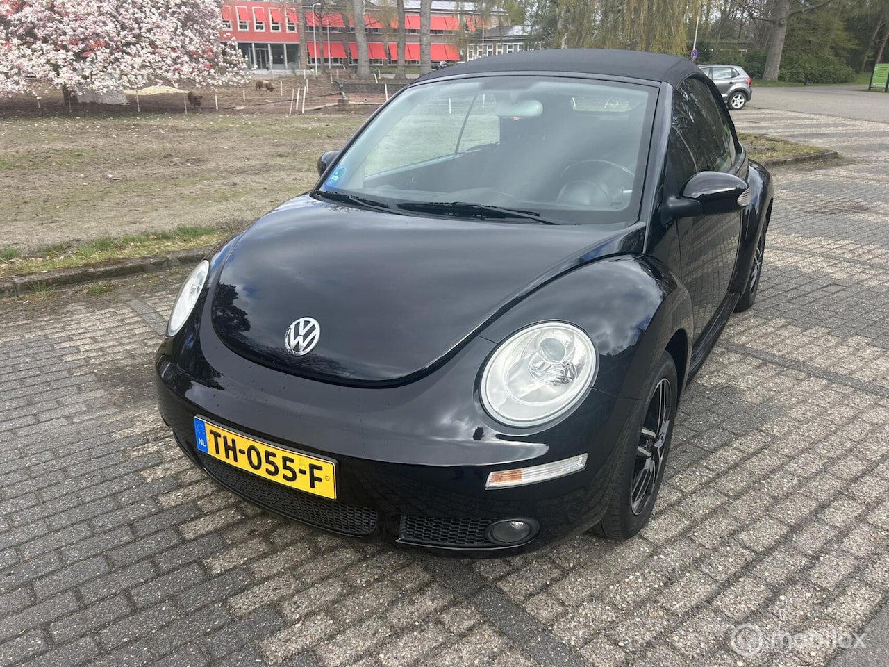 Volkswagen New Beetle Cabriolet - 1.6 Highline 1.6 Highline - AutoWereld.nl