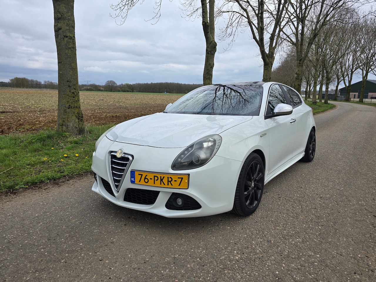 Alfa Romeo Giulietta - 1.4 T M-Air Distinctive - AutoWereld.nl