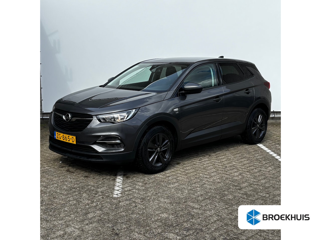 Opel Grandland X - 1.2 Turbo 120 Jaar Edition 1.2 Turbo 120 Jaar Edition - AutoWereld.nl
