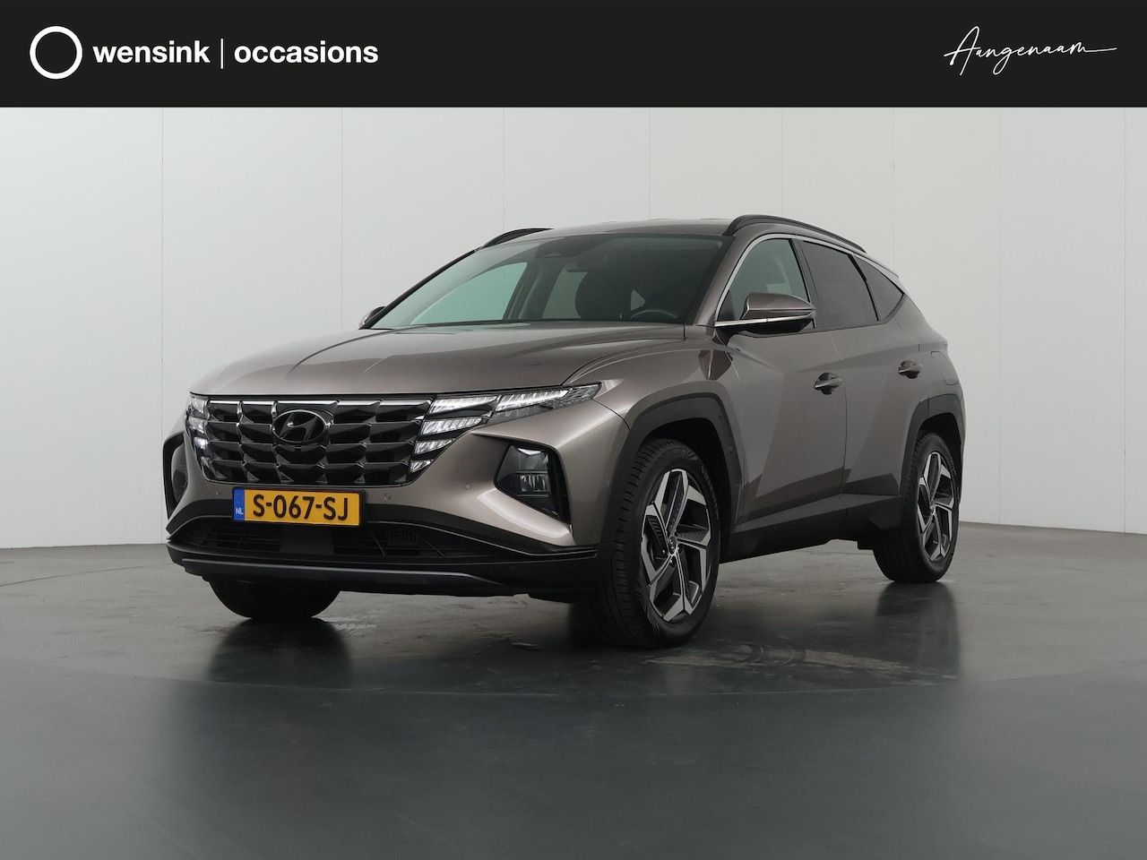 Hyundai Tucson - 1.6 T-GDI HEV Premium | Trekhaak | Lederen bekleding | Ele.verstelbare stoelen + geheugen - AutoWereld.nl