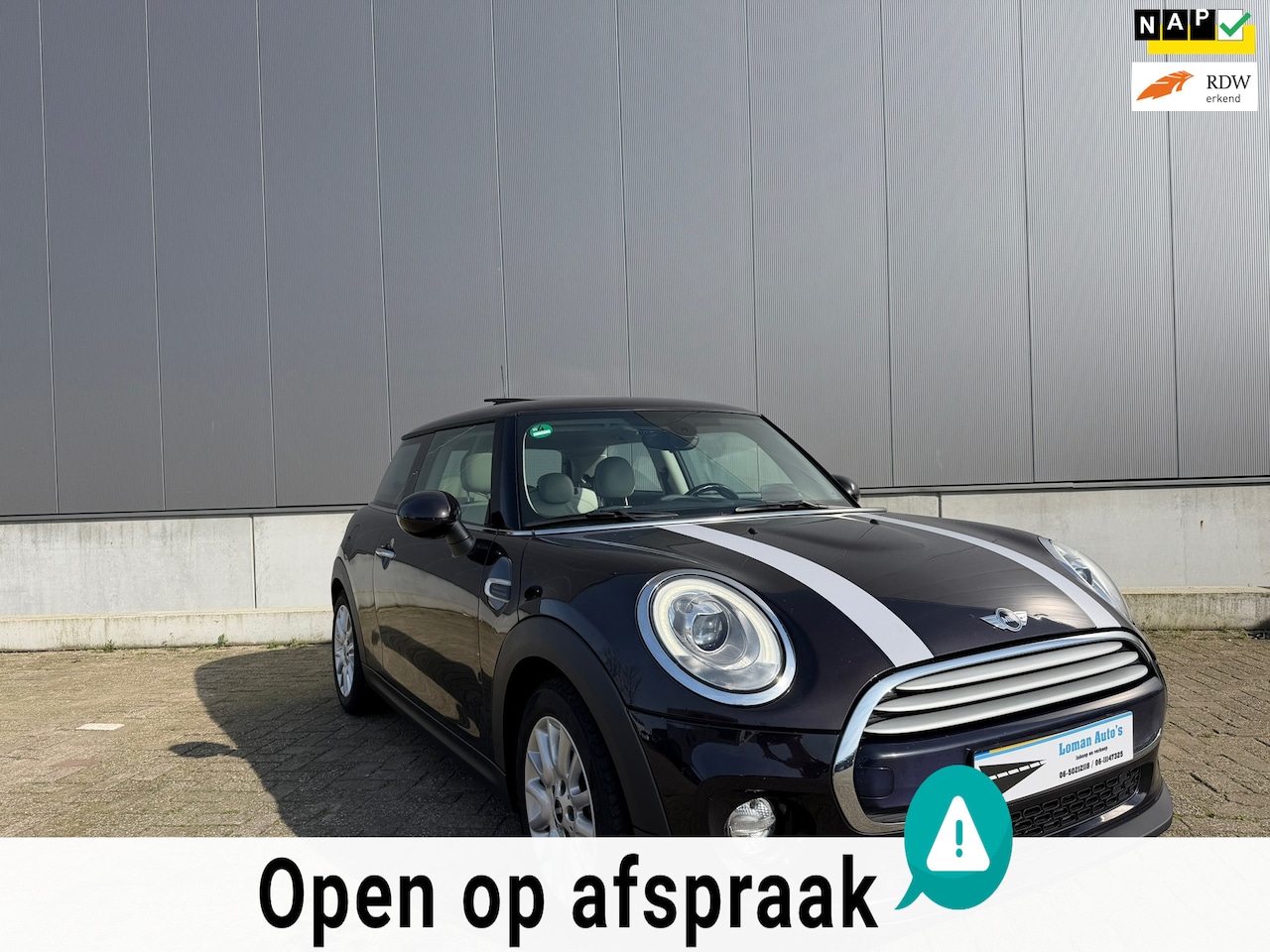 MINI MINI