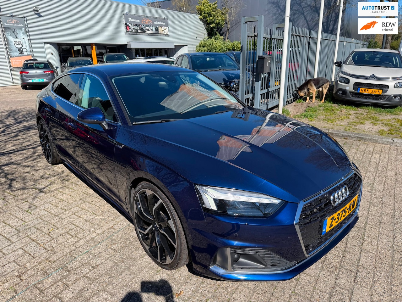 Audi A5 Sportback - 40 TFSI S edition mild hybrid / benzine, cruise full led, automaat, nieuwstaat 35.640 km, - AutoWereld.nl