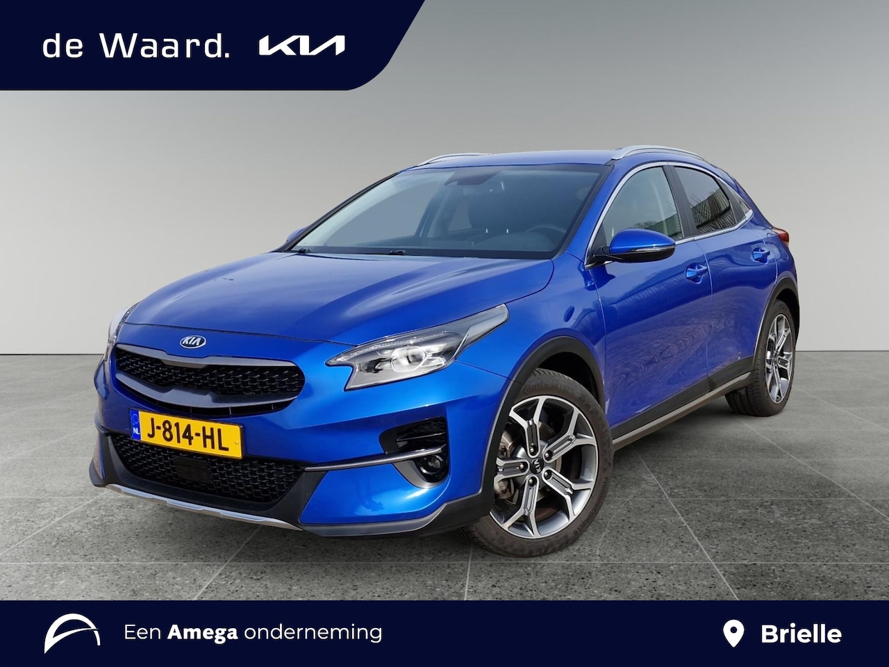 Kia XCeed - DynamicPlusLine 1.0 T-GDi 120pk | VERHOOGDE INSTAP | STOEL- EN STUURWIELVERW. | CRUISE CON - AutoWereld.nl