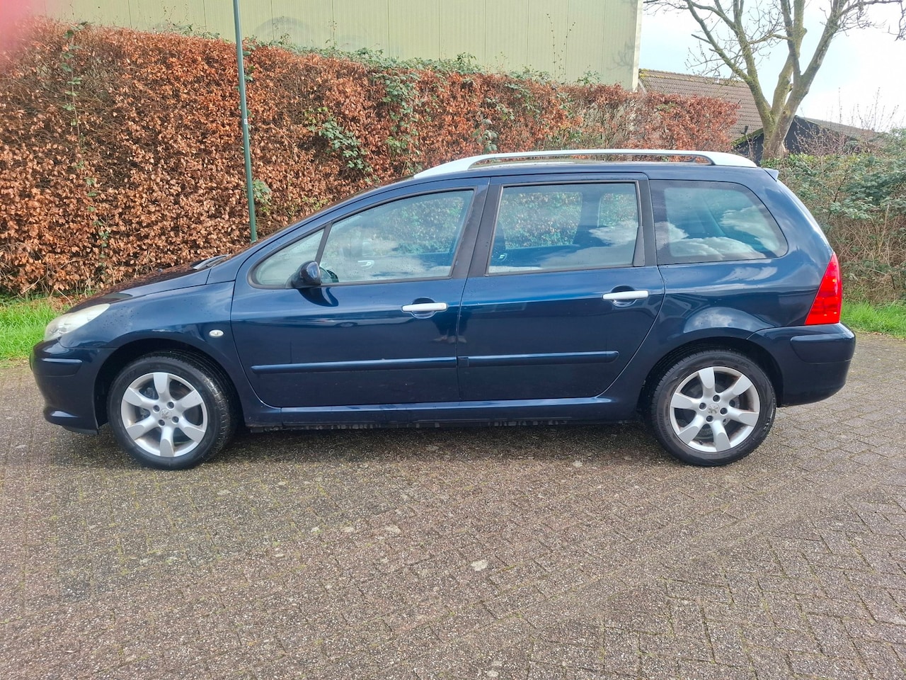 Peugeot 307 SW - 2.0-16V Premium met panoramadak - AutoWereld.nl