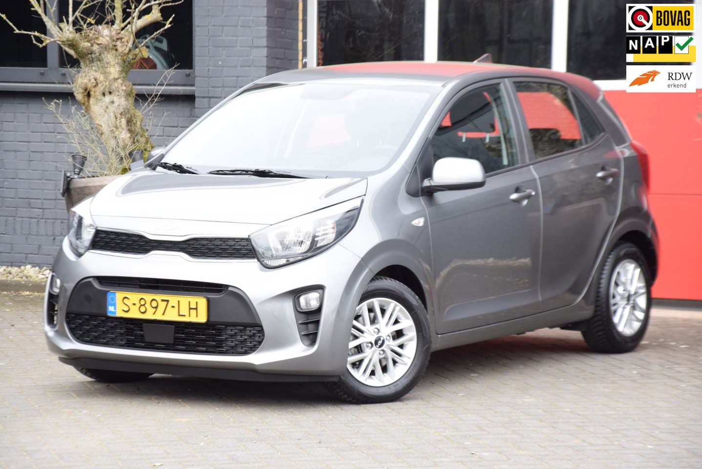 Kia Picanto - 1.0 DPi DynamicLine 2023 carplay navi Camera LM Velgen - AutoWereld.nl