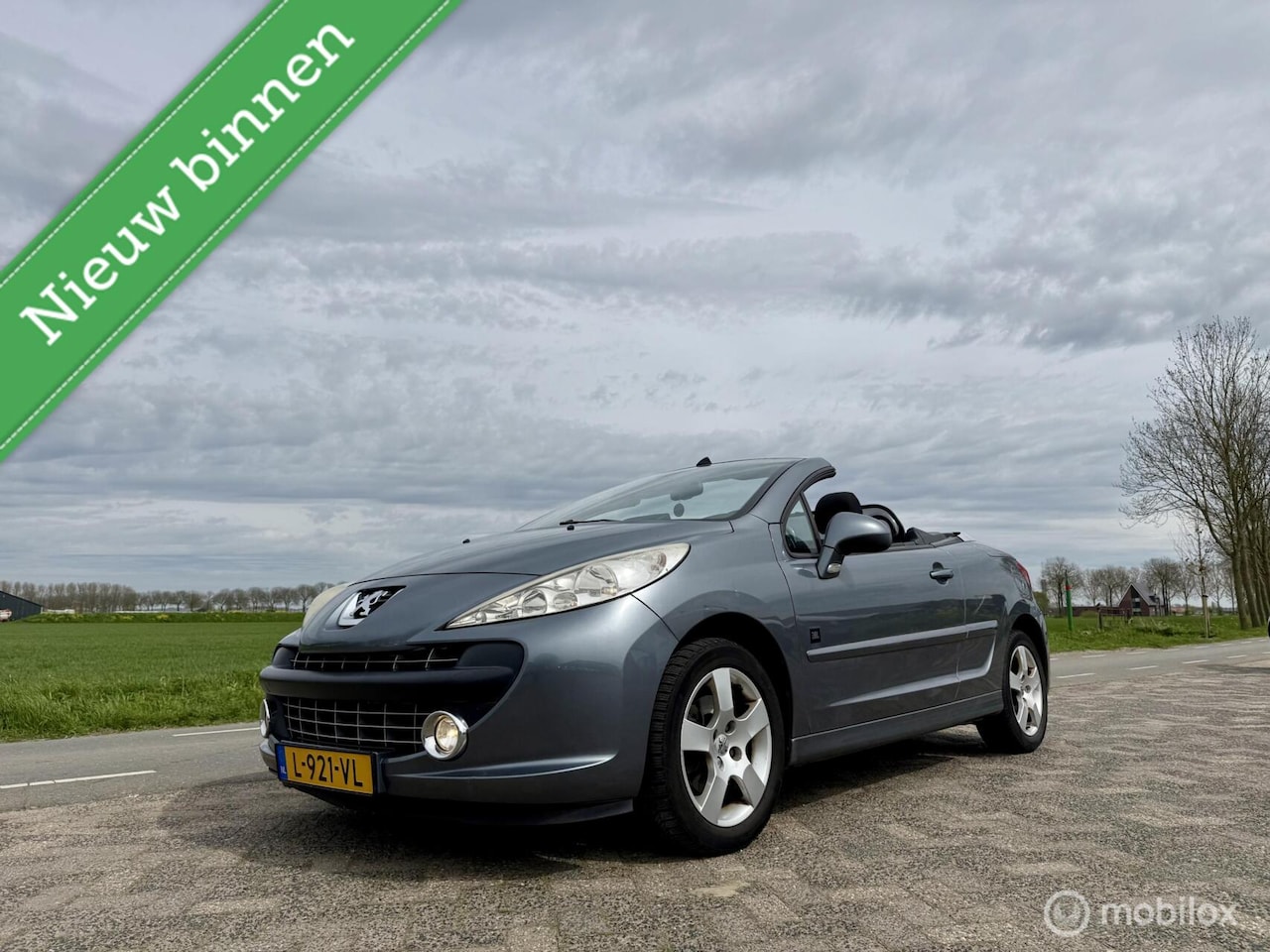 Peugeot 207 CC - 1.6 VTi 1.6 VTi, BJ 2009, 148.000 km, Nette Cabrio - AutoWereld.nl
