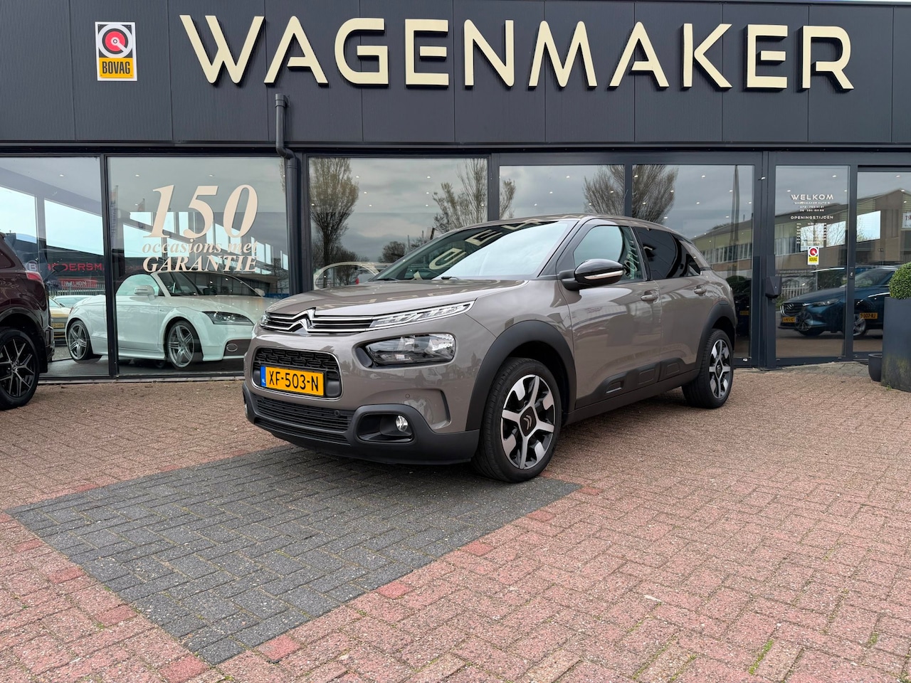 Citroën C4 Cactus - 1.2 PureTech Shine Clima|Cruis|NAVI|CAMERA - AutoWereld.nl